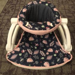 Fisher Price Baby Bouncer