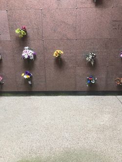 Head To Toe Crypt For Two   / Great Price /OBO