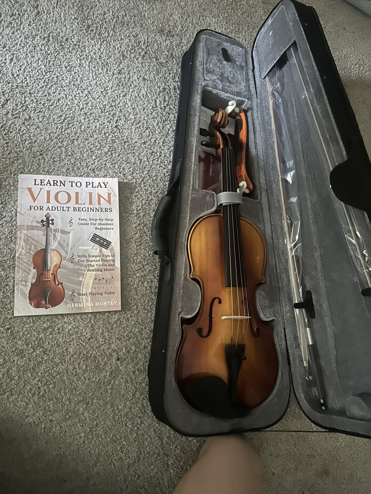 Violin