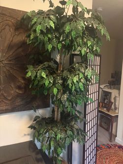 artificial/silk Ficus
