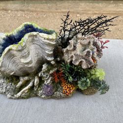 Medium Size Aquarium/Fish Tank Clam/coral/reef Resin Decoration. Like New!