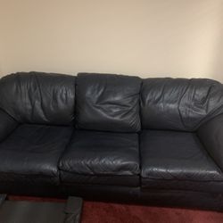 Grade  6  Italian Leather Coach 