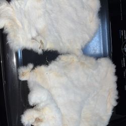 Snow Rabbit Pelts