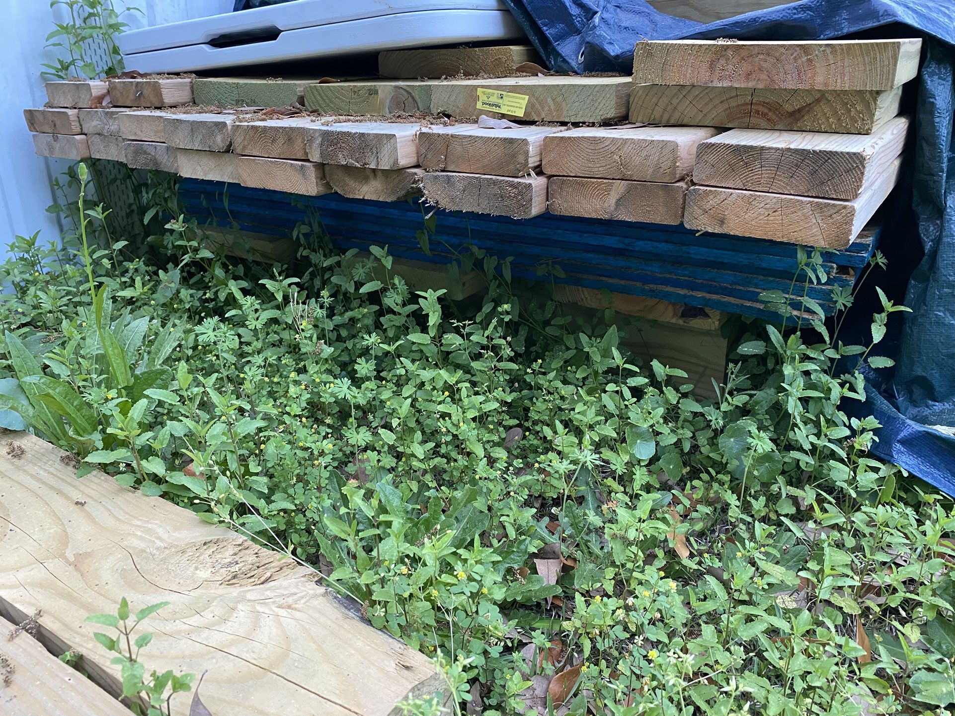 Green And White Wood