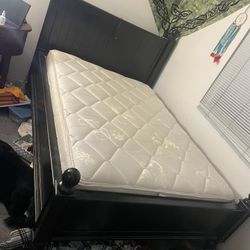 Pottery Barn Black Bed Frame (Full Size)