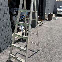 6ft Ladder