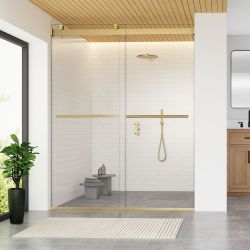 60” Shower Doors Frameless
