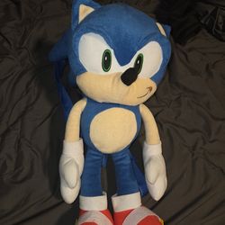 Sonic Backpack