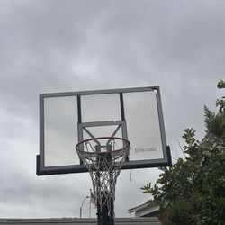 Full Sized Basketball Hoop