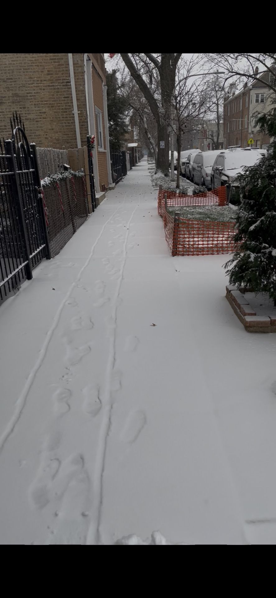 SNOW REMOVAL 24/7 $30