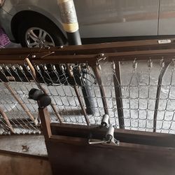 Hospital Medline Bed