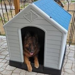 Brand New In Box Xl Dog House Water Proof Raised Base Dog Igloo Casa De Mascota Nuevo  ADD A BED FOR INSIDE FOR $25