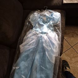Cinderella  Dress