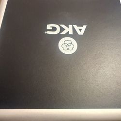 AKG Condenser Mic