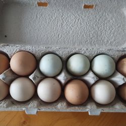 Farm Fresh Eggs 
