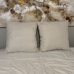 2 Throw Pillows Decor