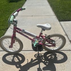 16” Haro Shredder BMX Bike