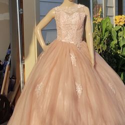 Brand New Quince Or Sweet Sixteen Dress 