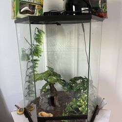 Terrarium  bought Two Months Ago For $150