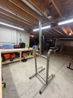 Body solid vertical knee raise tower
