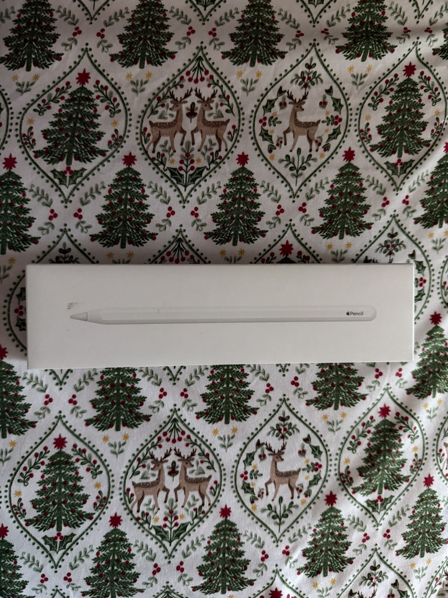 Apple Pencil 2nd generation NEW
