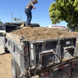 Bobcat Skid steer Tractor 