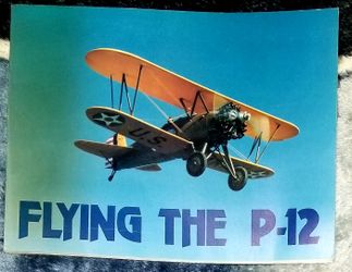 Flying the P-12 Book