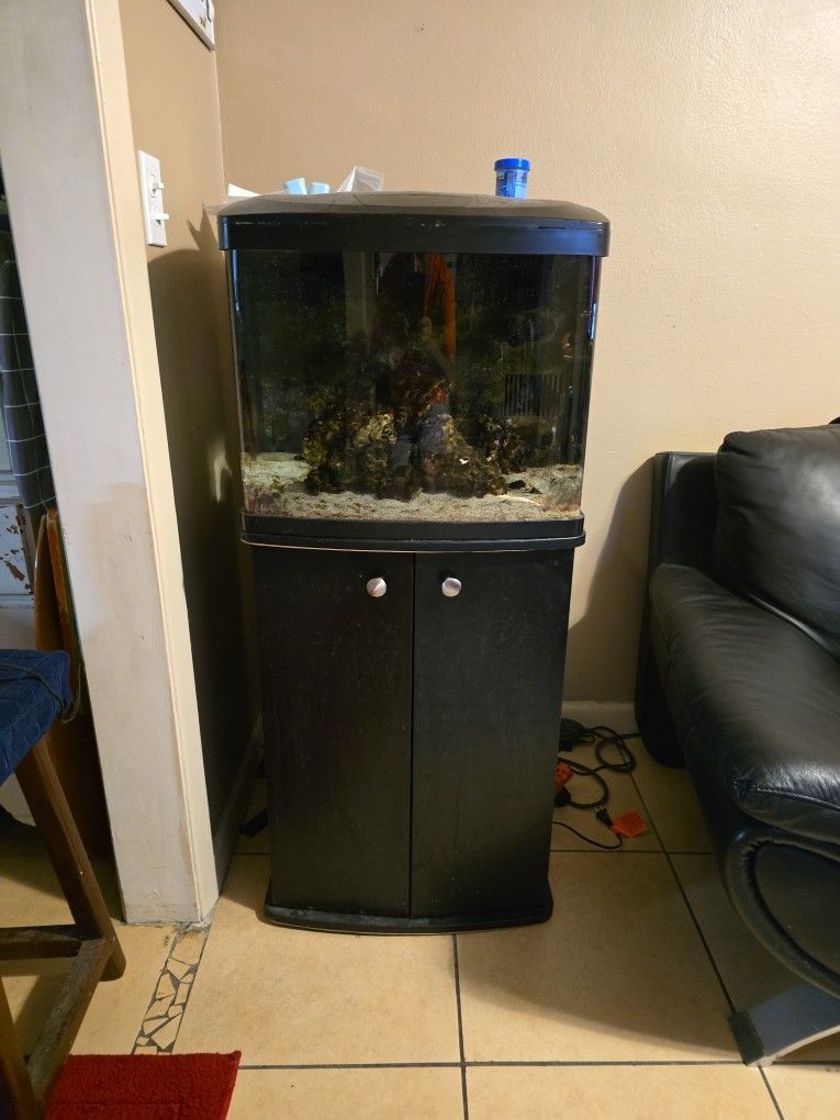 3 Fluval Tanks Biocube 28 And Much More