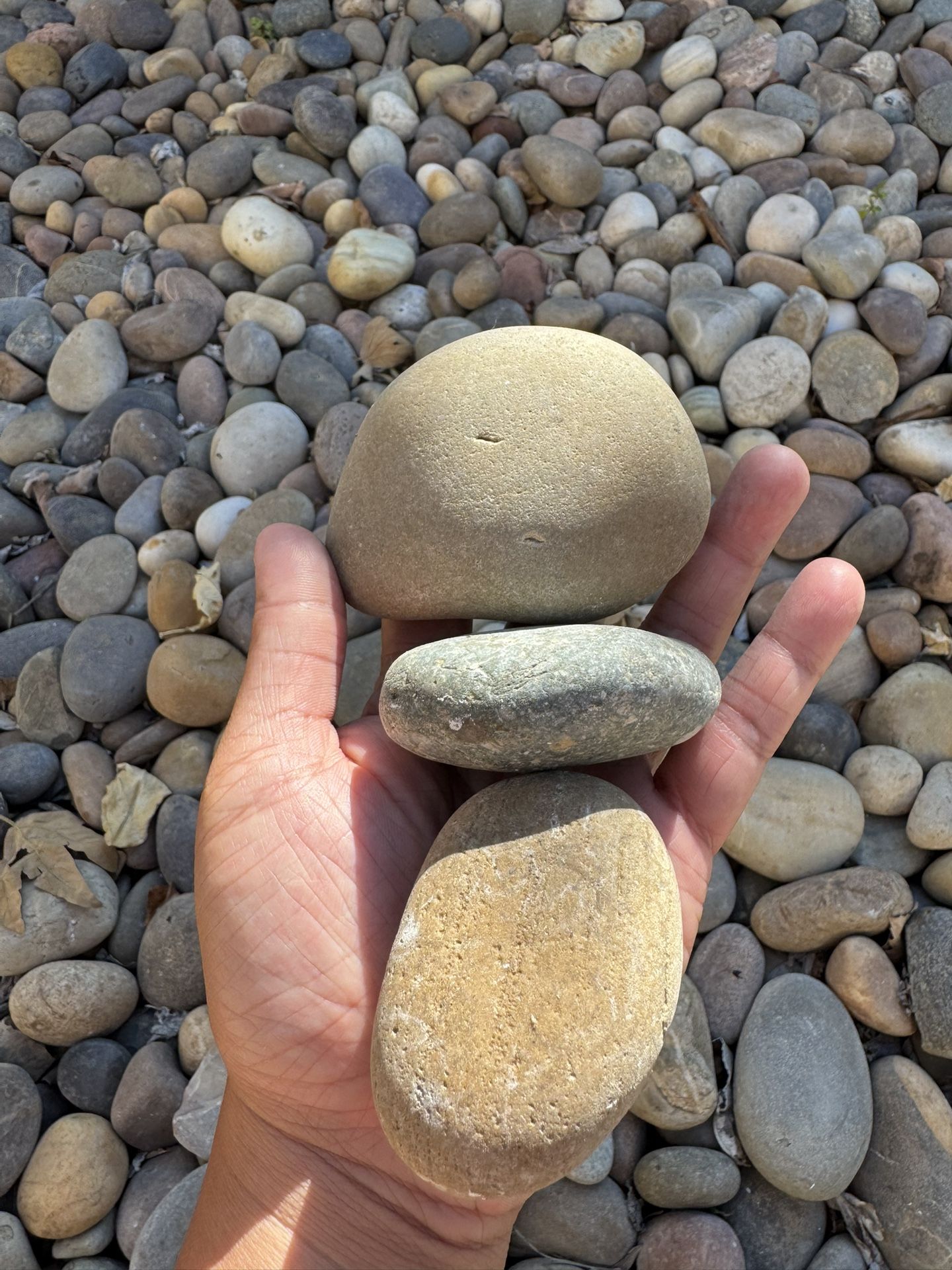 FREE LANDSCAPING ROCKS! for Sale in Brea, CA - OfferUp