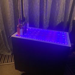 Shot Cart 🥃