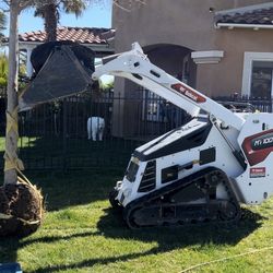 Bobcat 🦁 MT100
