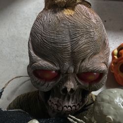 Halloween/ Theme Party Decorations 