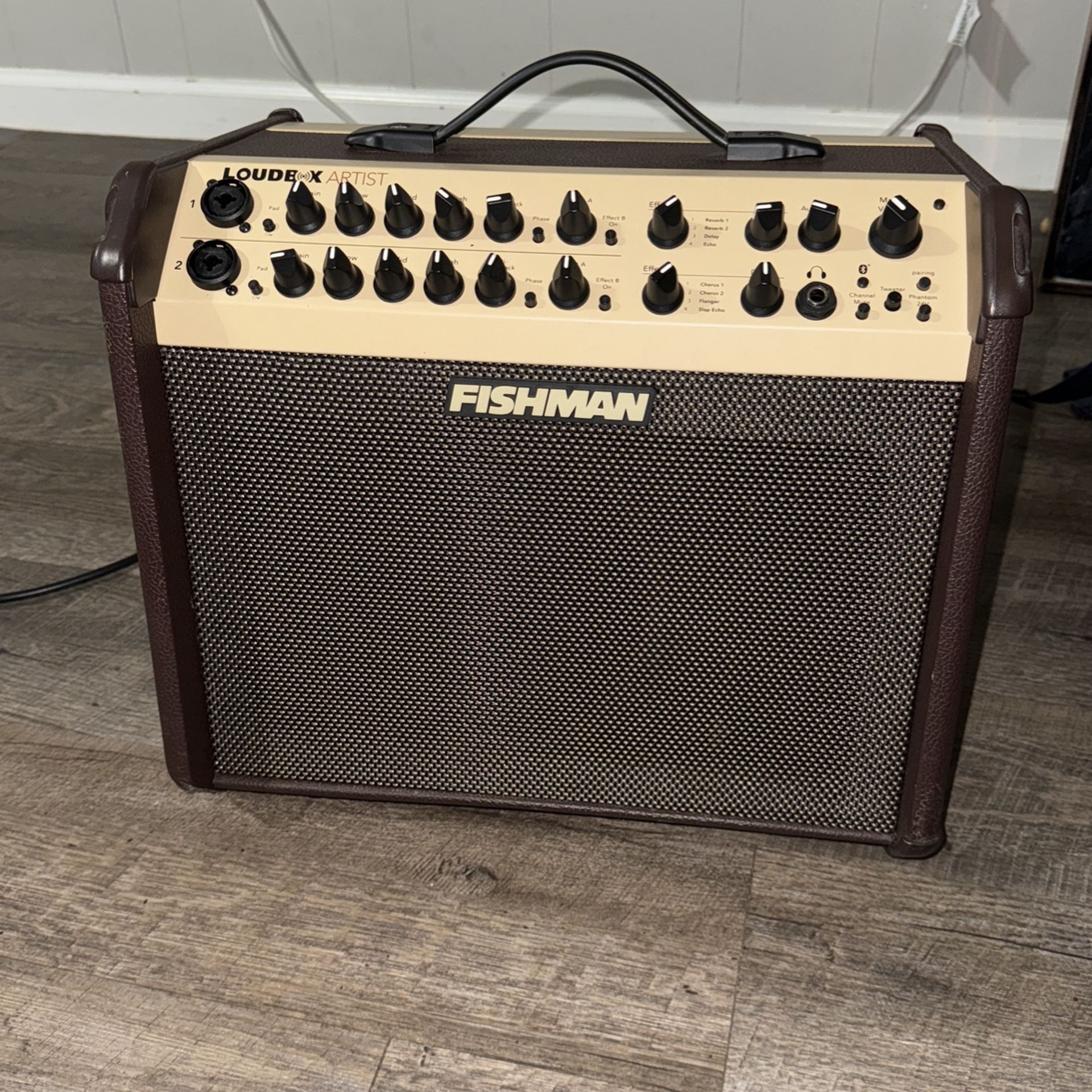 Fishman & Acoustic Amp