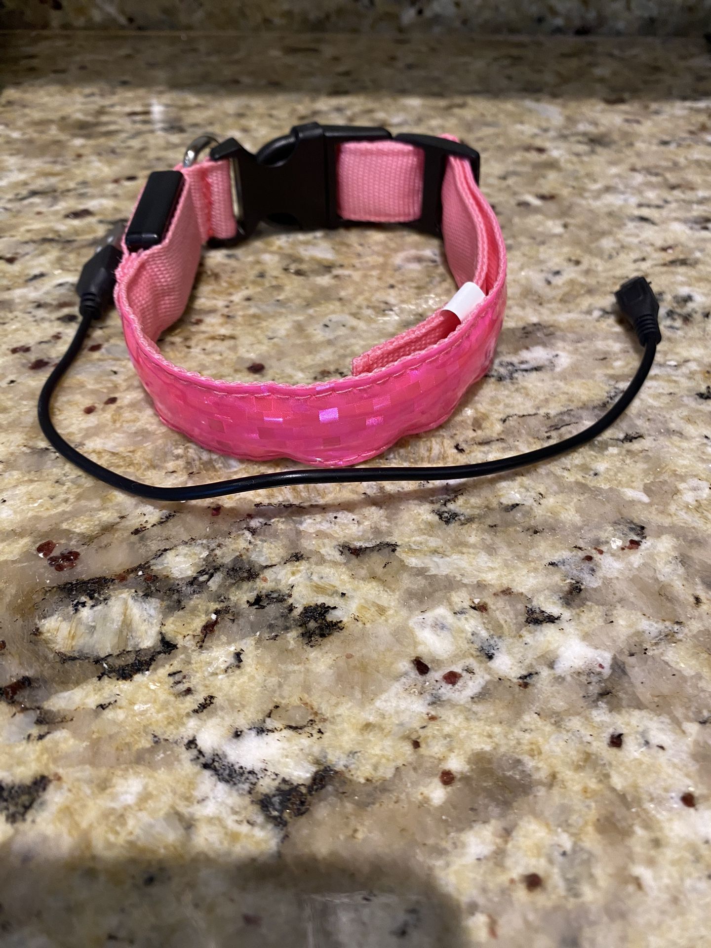 Light Up Dog Collar