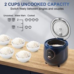 Mini Rice Cooker 2-Cups Uncooked, 1.2L Portable Non-Stick Small Travel Rice  Cook