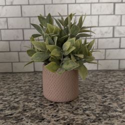 Fake Little Plant 