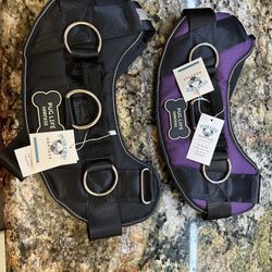 Pug Life Xl Harness. Brand New