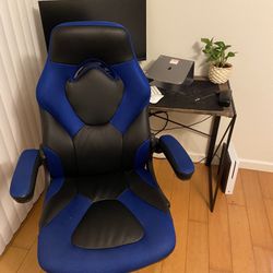 Office / Gaming Chair