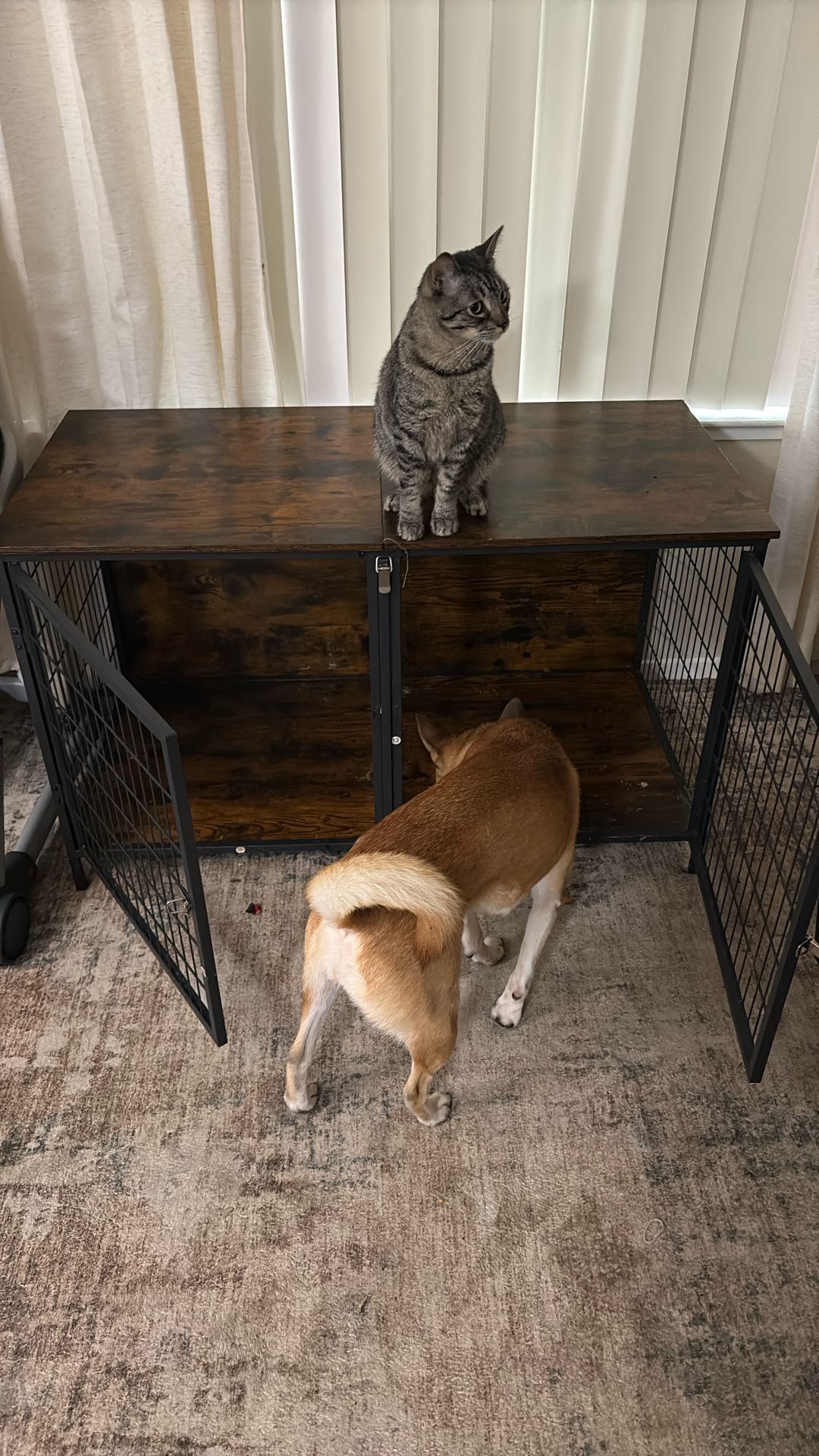 Double Table Dog Crate With Removable Divider