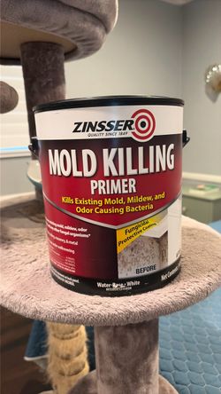 Zinsser Mold Killing Primer 1 Gallon