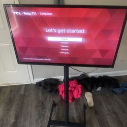 24 Inch Roku Tv With Stand