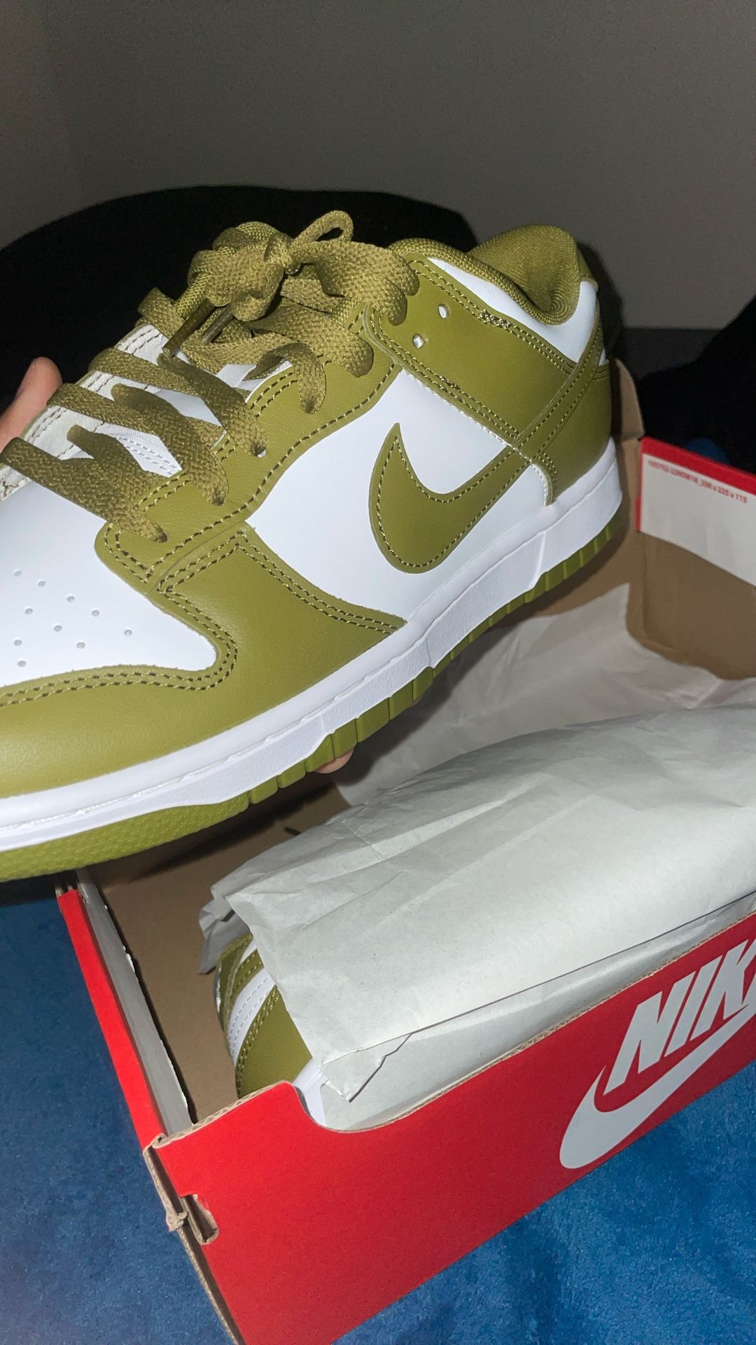 Nike Dunks