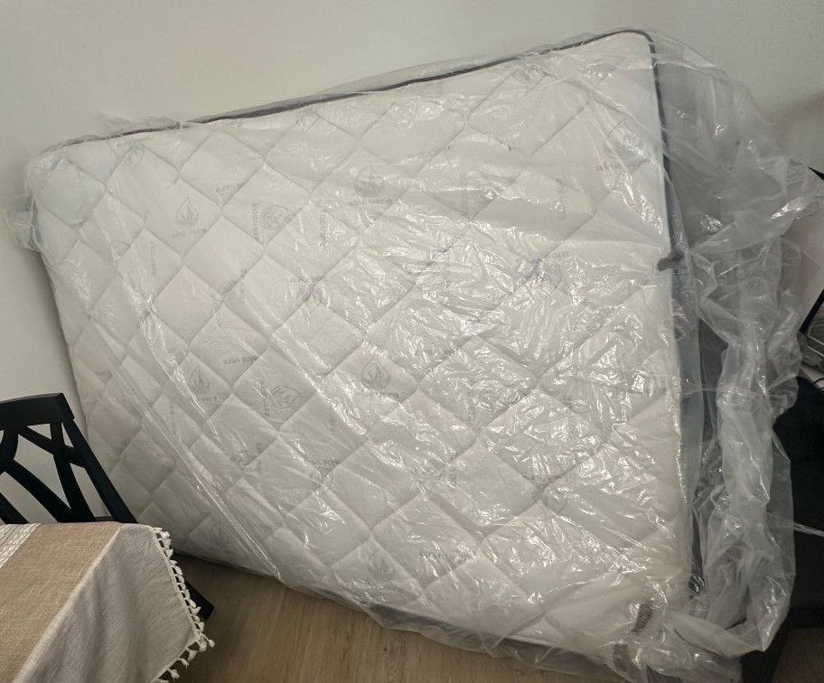 FREE Queen Bed Mattress And Box Spring
