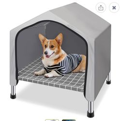 Dog House