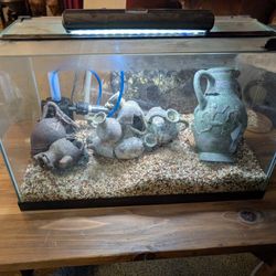 10 Gallon Aquarium
