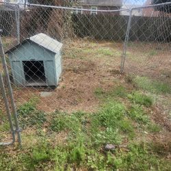 Dog house and cage for 300 in good condition