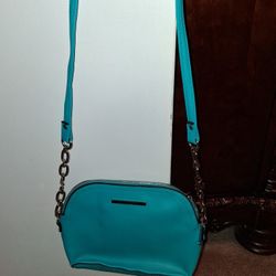 Steve Madden Purse 