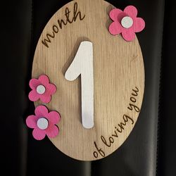 Baby Milestone Marker