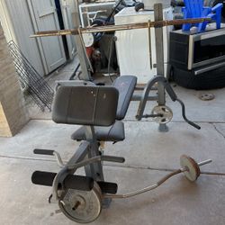Weights 