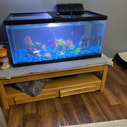 50 Gallon Fish Tank 